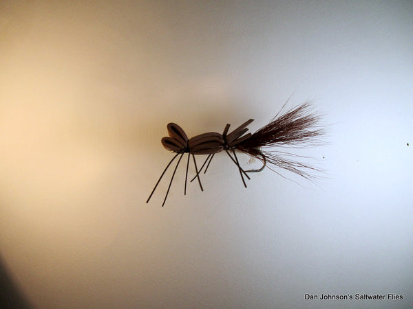 Terrestrial  -  Brown IF4402