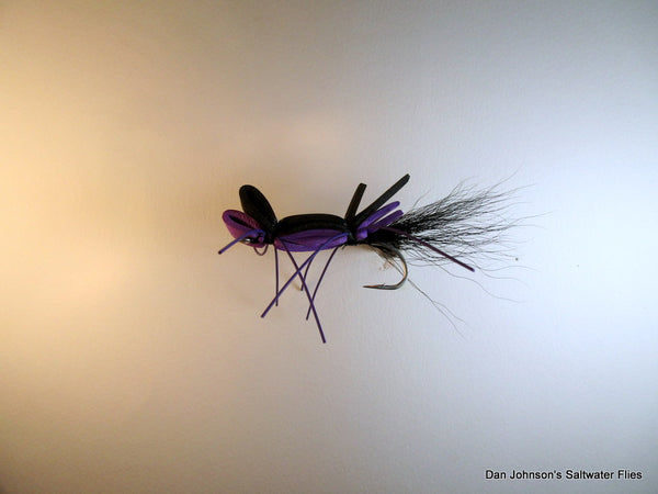 Terrestrial  -  Black Purple IF4404