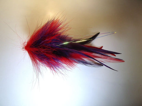 GT Semper Fly -  Red Purple  IF1067