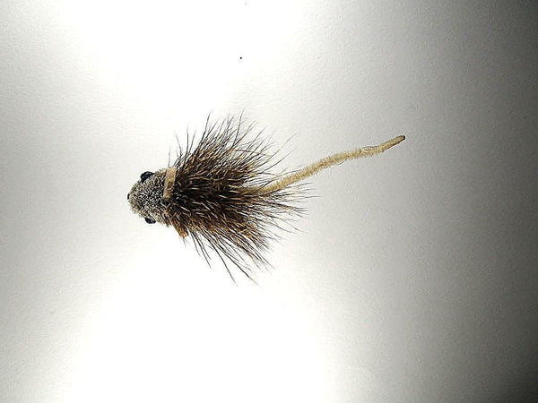 Mouse - Natural - IF1166