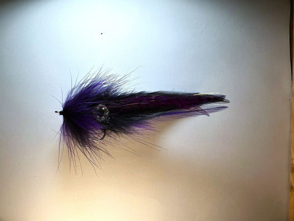 Semper Squid - Purple Black IF264