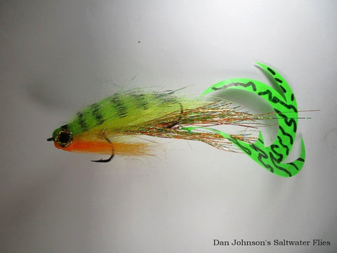 Pacchiarini's Pike Wiggletail -   Firetiger (WW1771)