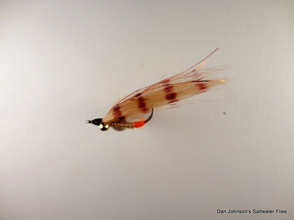 Banded Wing Snapping Shrimp  BF097