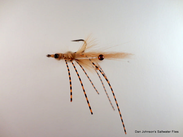 Barred Leg Mantis Shrimp w/ Enrico Shrimp Eyes BF038C