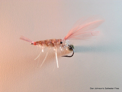 Dan's Shrimp - Pink White  GS014B