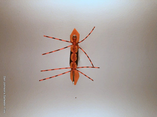 Chernobyl Ant - Orange Black IF421